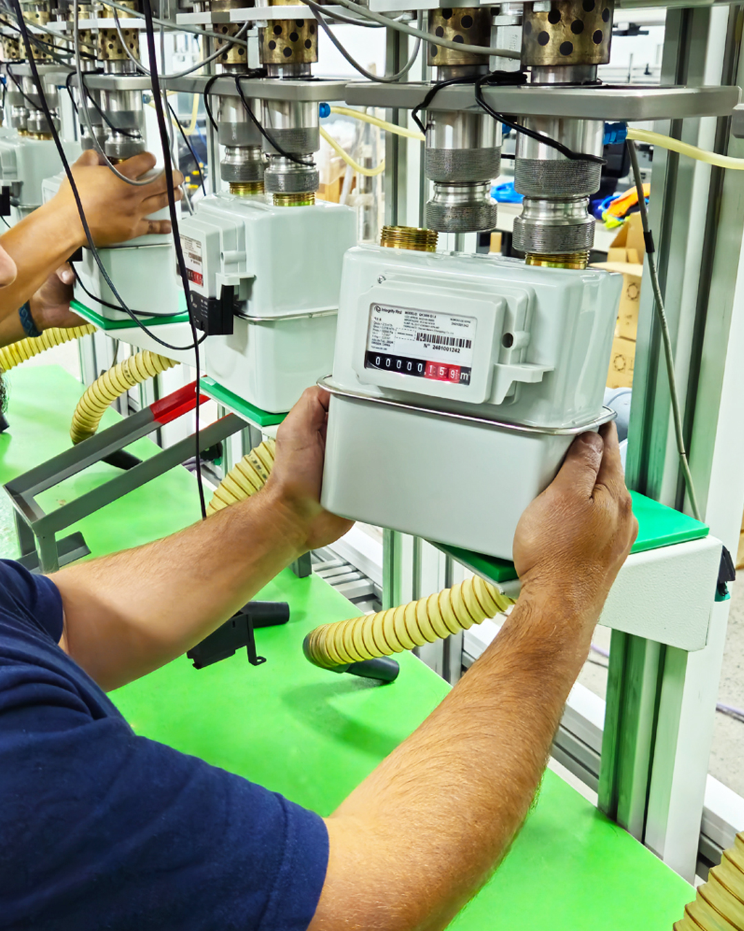 Visita Gas Nea