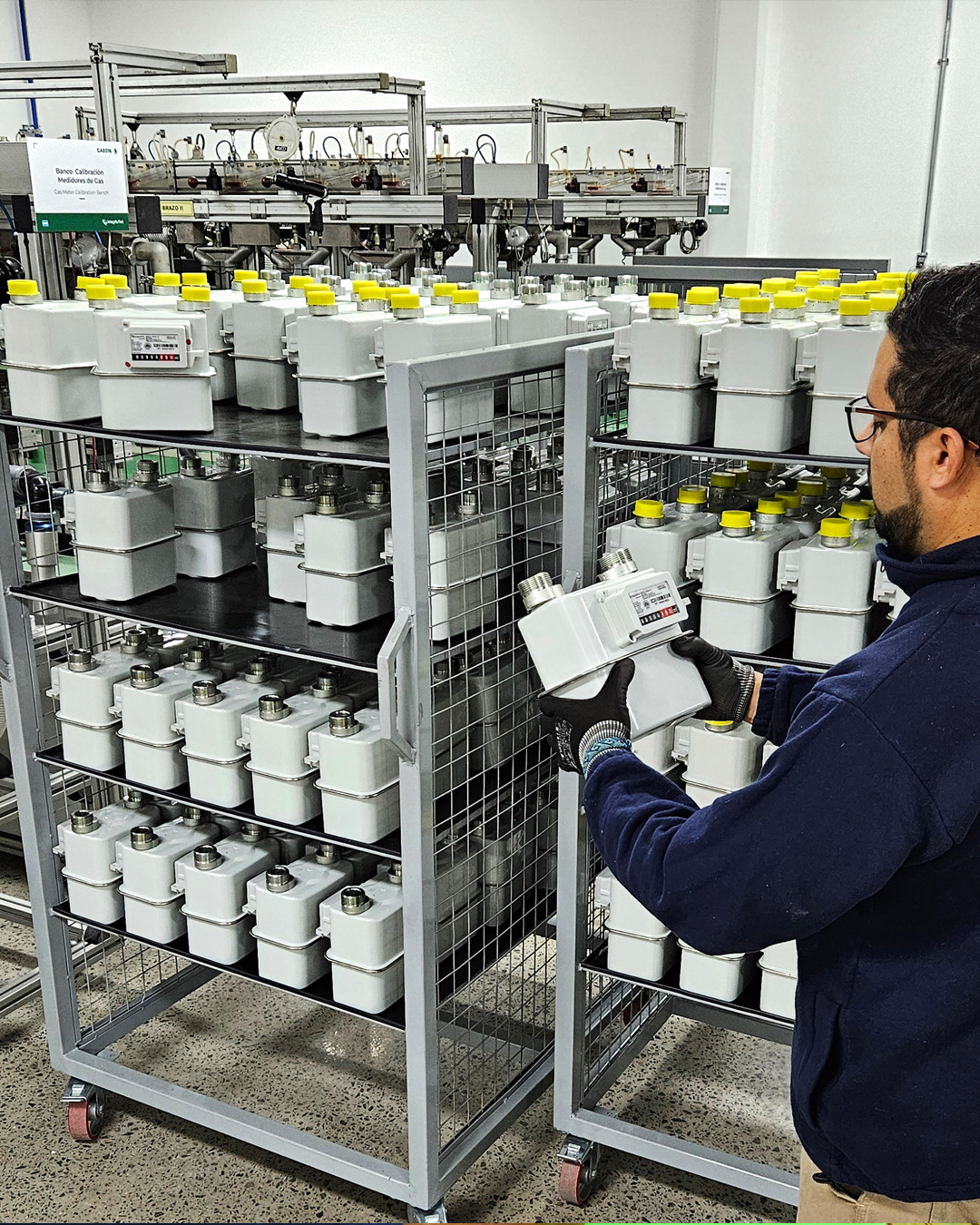 Visita Gas Nea